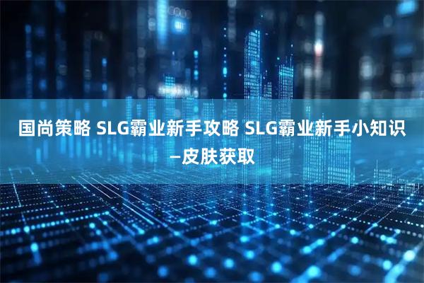 国尚策略 SLG霸业新手攻略 SLG霸业新手小知识—皮肤获取