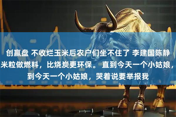 创赢盘 不收烂玉米后农户们坐不住了 李建国陈静 我家烤肉店用玉米粒做燃料，比烧炭更环保。 直到今天一个小姑娘，哭着说要举报我