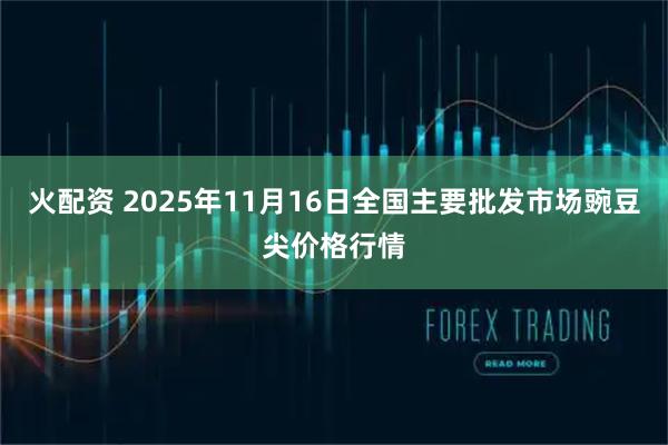 火配资 2025年11月16日全国主要批发市场豌豆尖价格行情