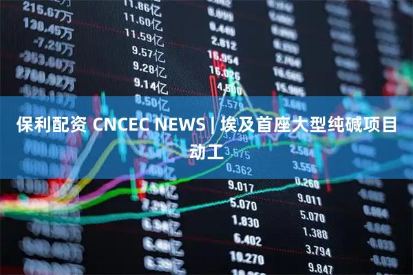 保利配资 CNCEC NEWS | 埃及首座大型纯碱项目动工